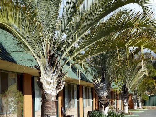 The Miners Rest Motel Kalgoorlie Luaran gambar